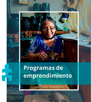 Programas de emprendimiento